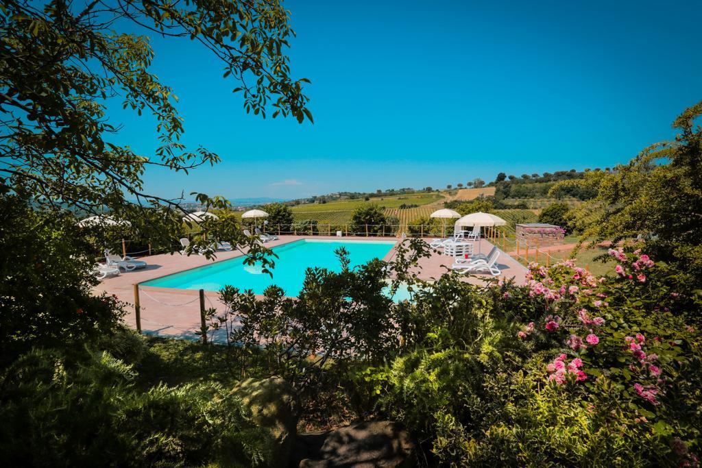Agriturismo Il Divin Casale Torgiano Ngoại thất bức ảnh